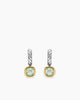 NEW PRASIOLITE
