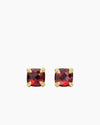 GARNET