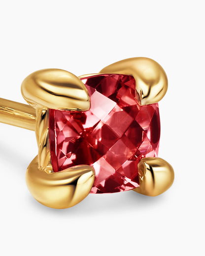 GARNET