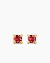 GARNET