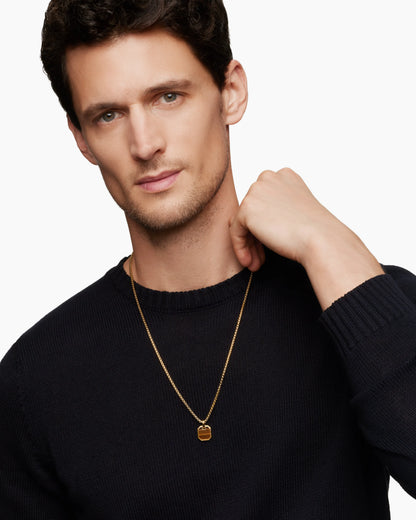 TIGERS EYE