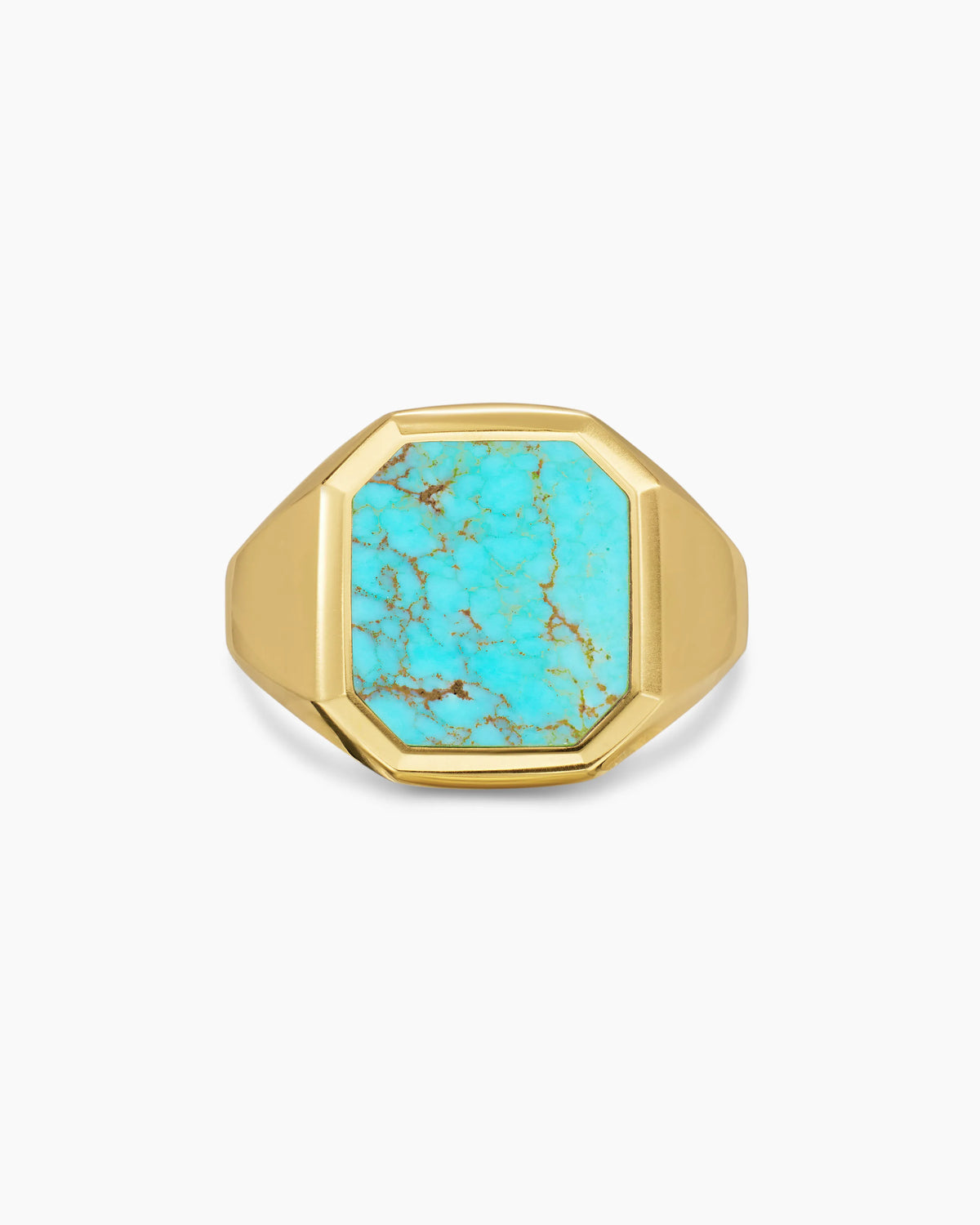 TURQUOISE MATRIX KINGMAN