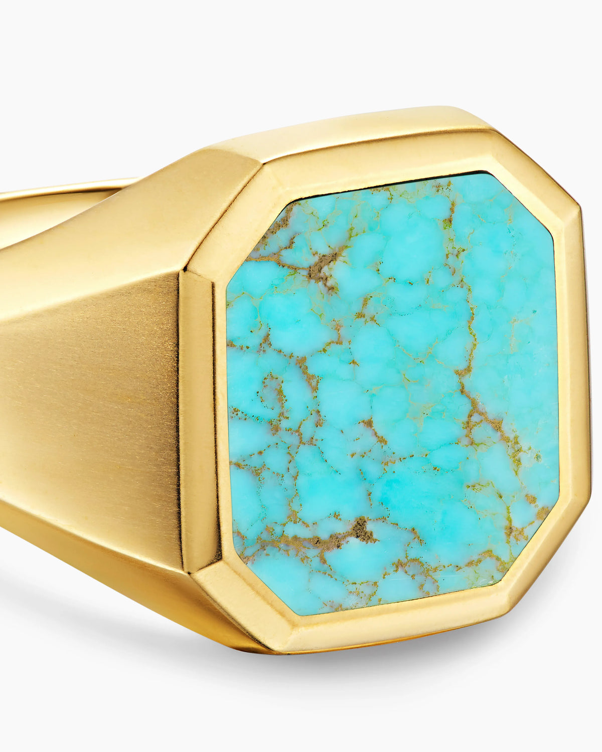 TURQUOISE MATRIX KINGMAN