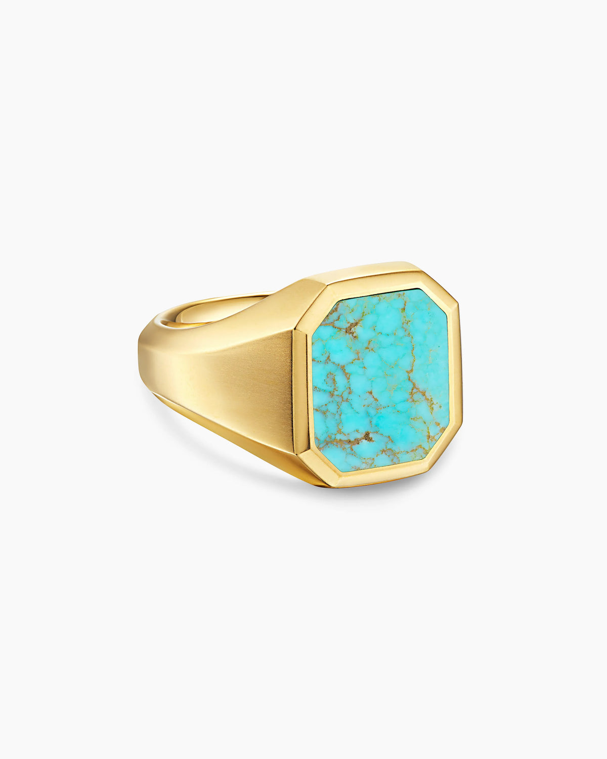 TURQUOISE MATRIX KINGMAN